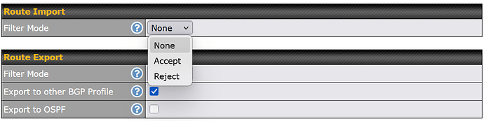 Peplink BGP route filtering