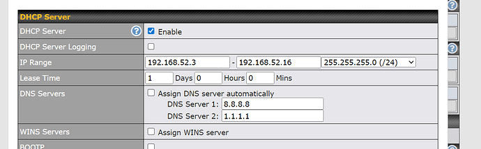 peplink_home_lan_dns