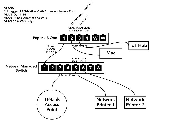 Peplink B One Network Diagram 01